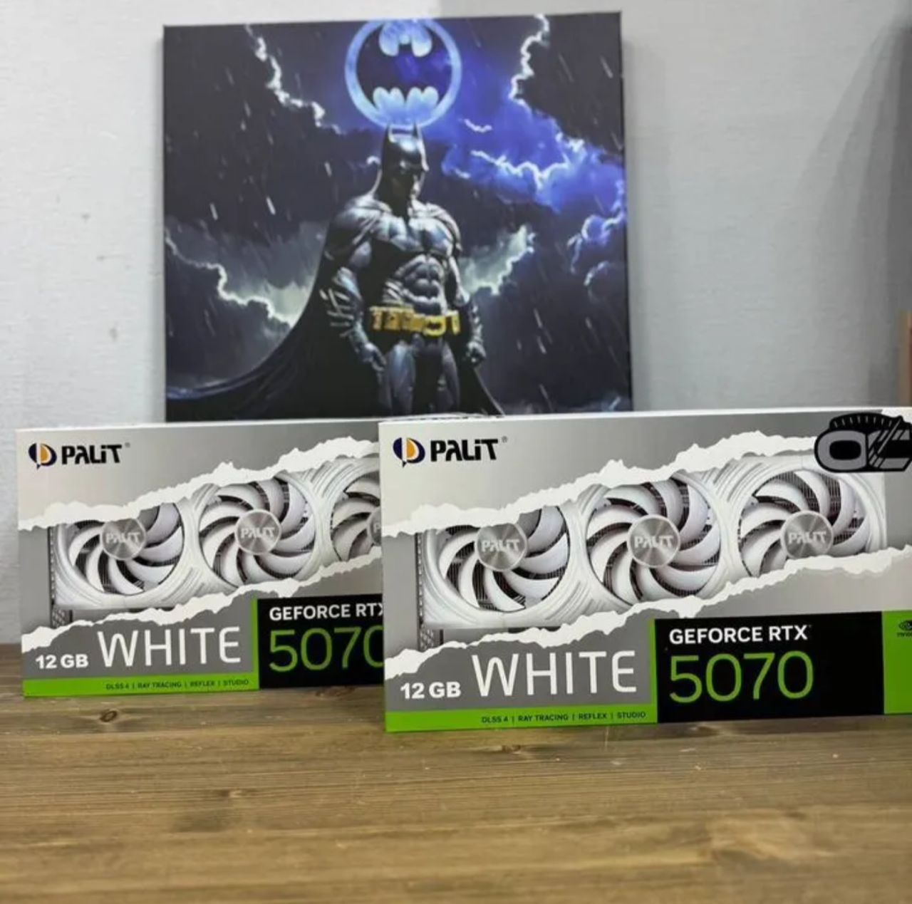 Pаlit RТХ 5070 Whitе